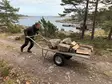 Rengastalon Maitokärry / Lavakärry RT 305 – Kantavuus 500 kg, Kotimainen Laatukärry - Maitokärryt - 93051421 - 4